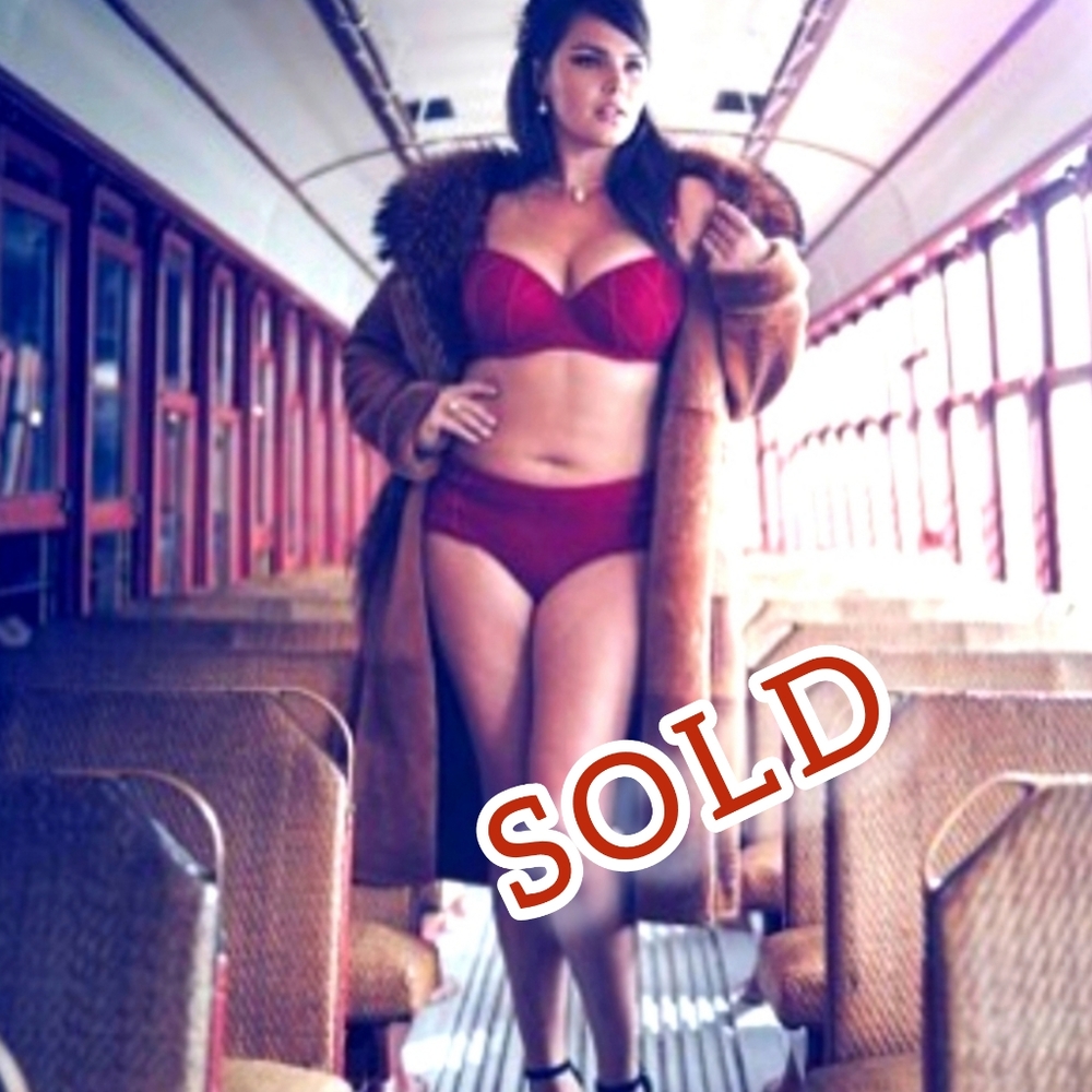 SOLD - [40DDD/E] 2 Pre-Loved Vixen Balconette Bras - Déesse Collection